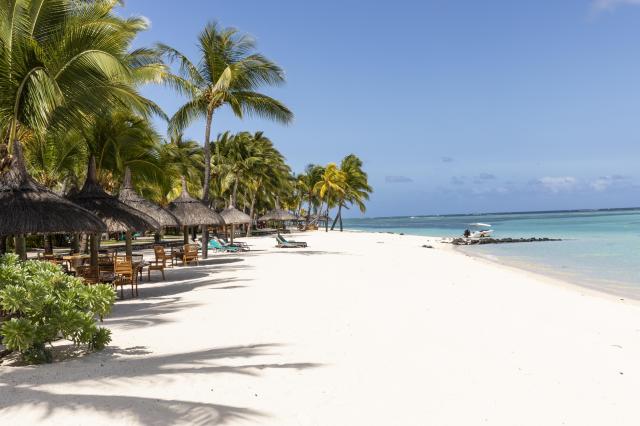Beachcomber Paradise