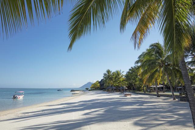 Beachcomber Paradise