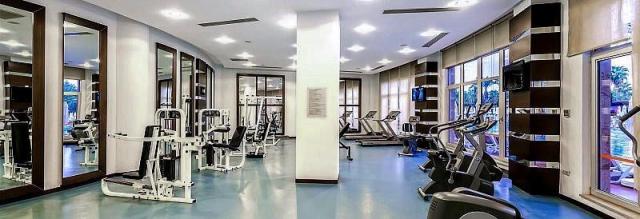 Leodikya Kirman Premium