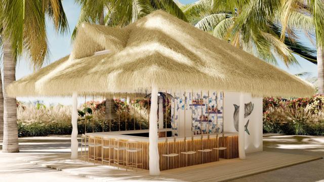 Dreams Playa Esmeralda Resort & Spa