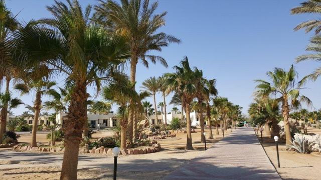 Coral Beach
