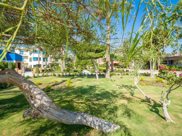 SeaGull Resort