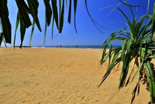 Hibiscus Beach Resort