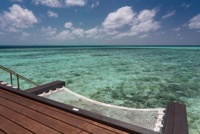 View with the hammock.jpg