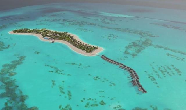 Joy Island The Cocoon Collection