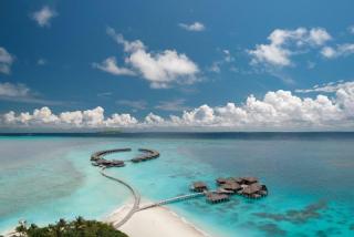 Coco Bodu Hithi