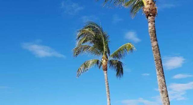 Le Preskil Beach Resort