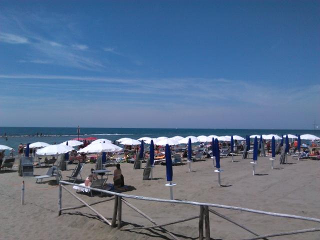 žž17 (640x480)