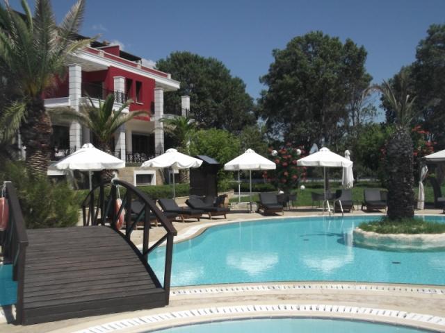 pieria 2 068 (800x600)