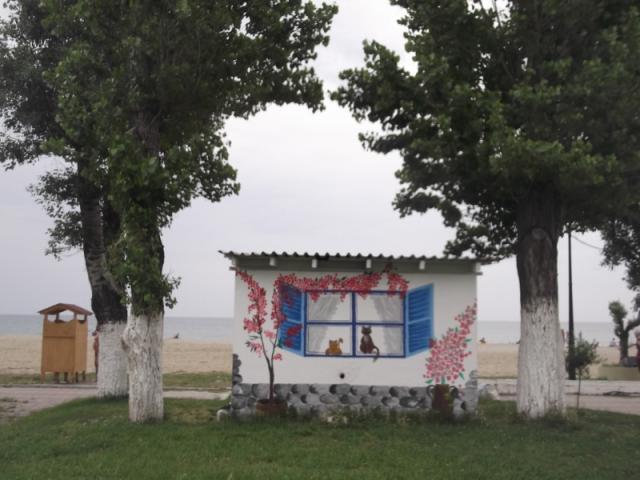 pieria 043 (800x600)