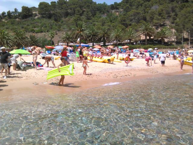 co´brava 18