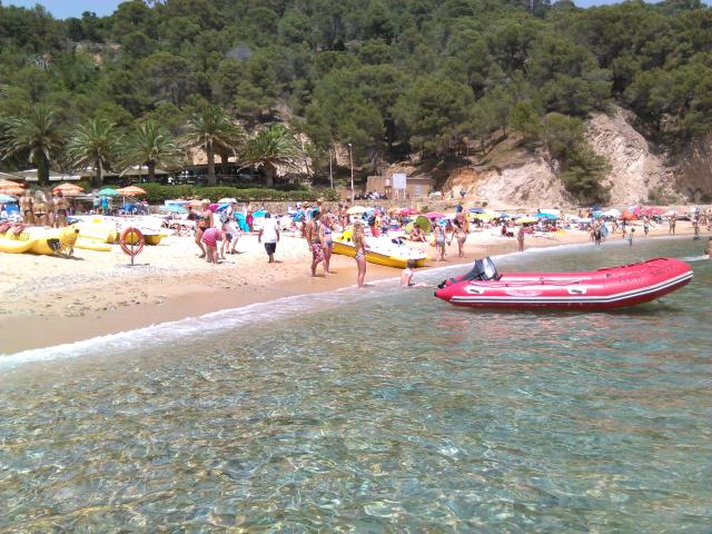 Brava 3 2015