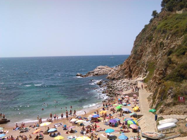 brava 11