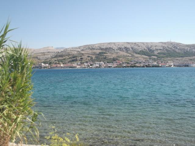 PAG 263 (800x600)