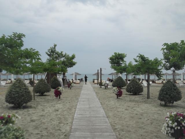 pieria 038