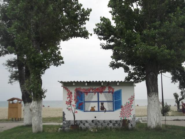 pieria 044