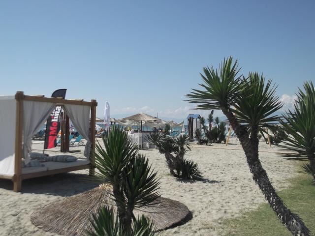 pieria 2 022
