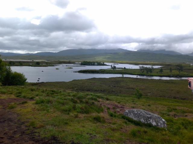 edi08