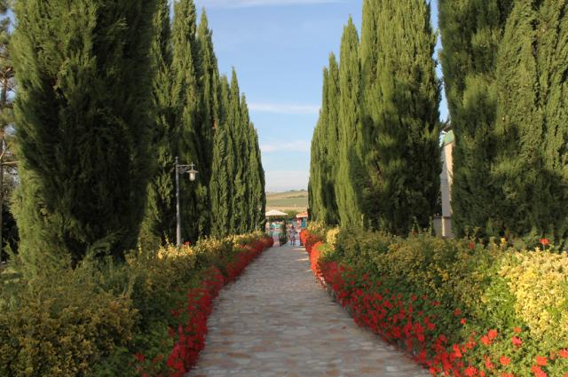 Fattoria Belvedere