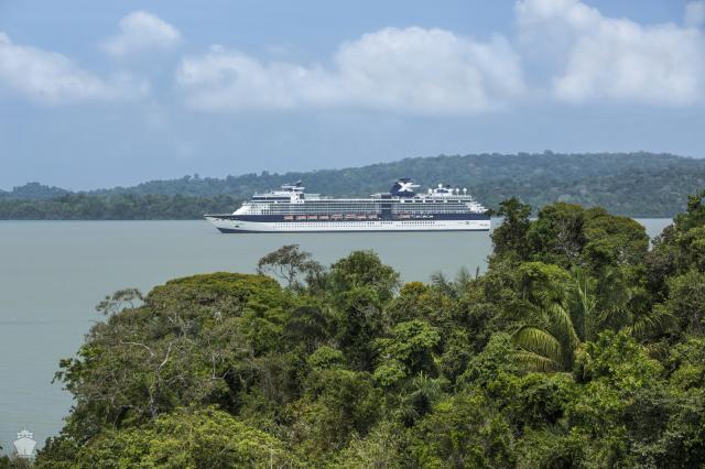 Celebrity Infinity