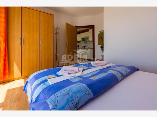 Izba:  APT 2+2