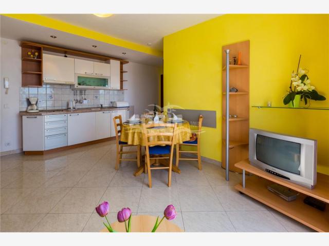 Izba:  APT 2+2