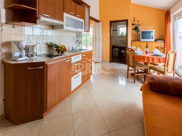 Izba:  APT 2+2 č.5