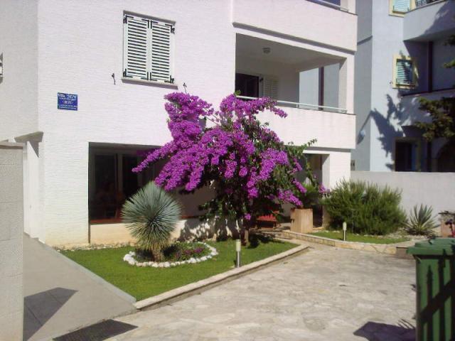 Vila ŠENI ***