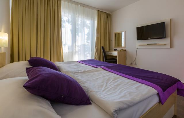 Hotel a Depandansy Slaven ***