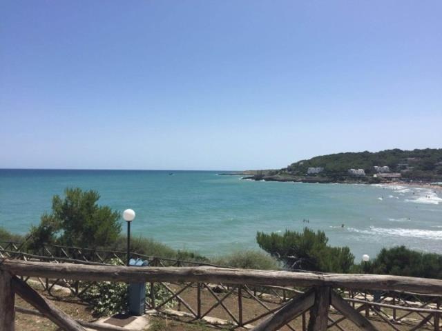 MANACORE_HAPPY_07.JPG