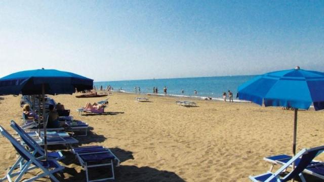 FREE_BEACH_HAPPY_12.JPG