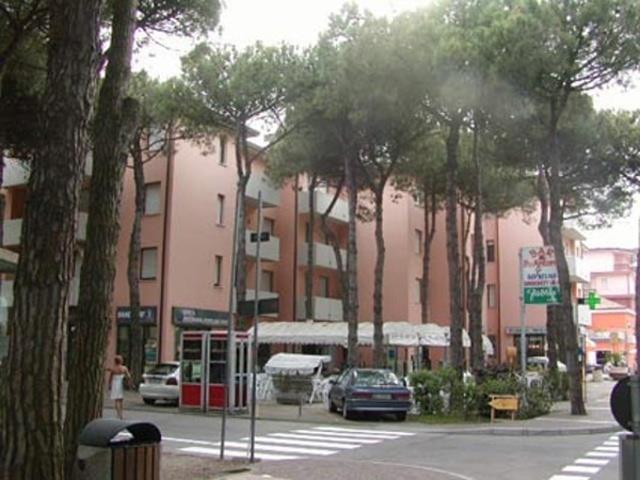 PINI_ROSOLINA_02.JPG