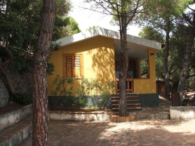 FENOSA_CAMEROTA_11.JPG