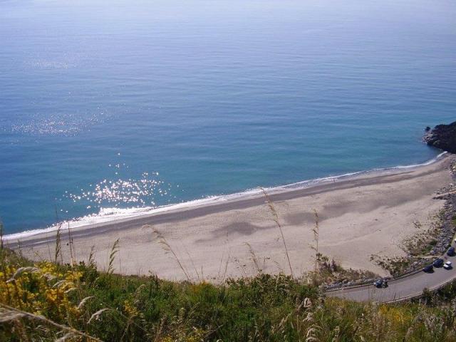 FENOSA_CAMEROTA_19.JPG