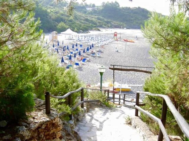 FENOSA_CAMEROTA_20.JPG