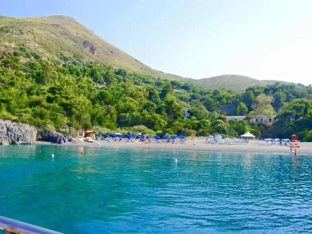 FENOSA_CAMEROTA_21.JPG