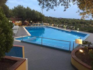 La Fenosa