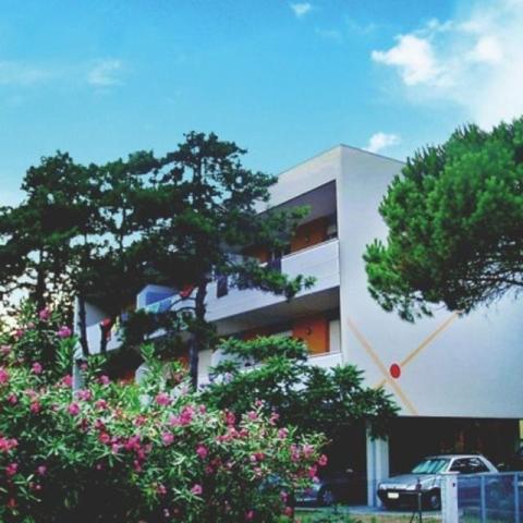 ZODIACO_BIBIONE_01.JPG