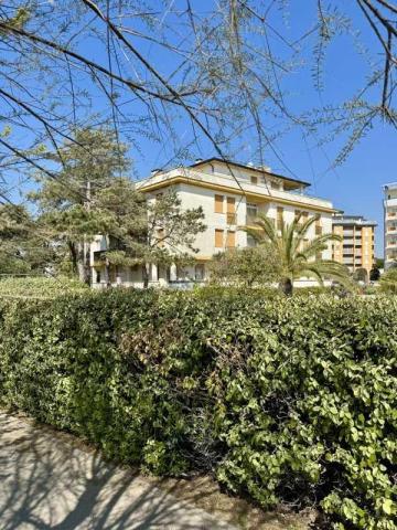 BIBIONE_MECCHIA_02.JPG