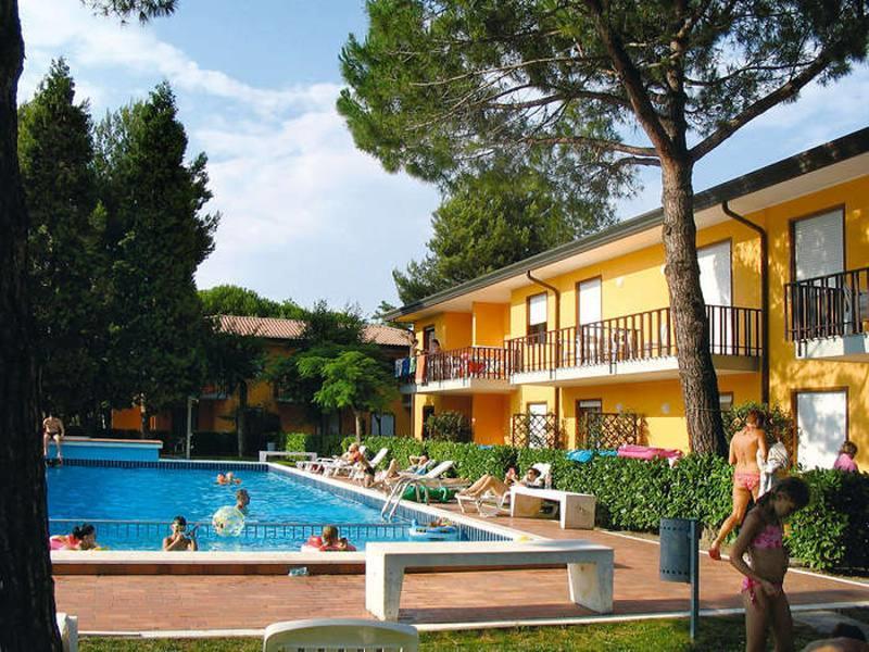 GELSOMINI_BIBIONE_03.JPG