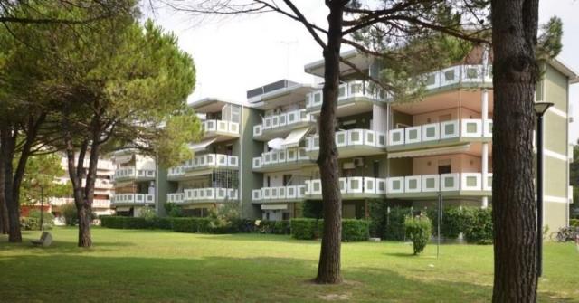 DANUBIO_BIBIONE_02.JPG