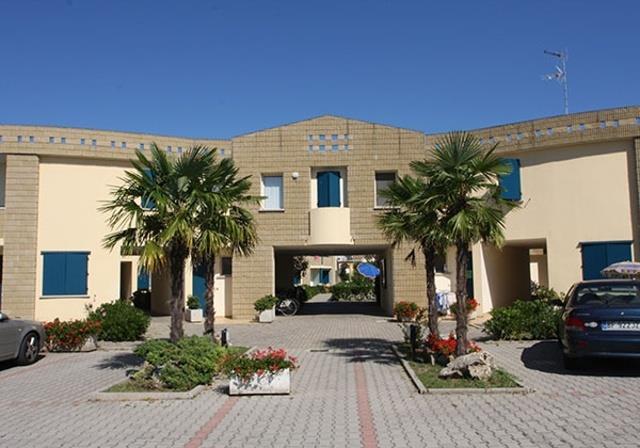 GIRASOLI_BIBIONE_SPIAGGIA_04.JPG