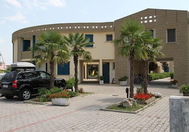GIRASOLI_BIBIONE_SPIAGGIA_06.JPG
