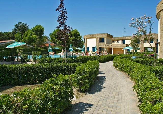 GIRASOLI_BIBIONE_SPIAGGIA_07.JPG
