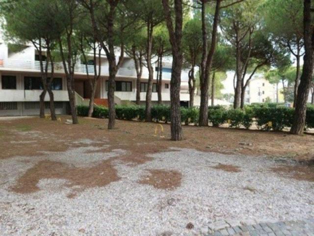 GIOVE_LIGNANO_02.JPG
