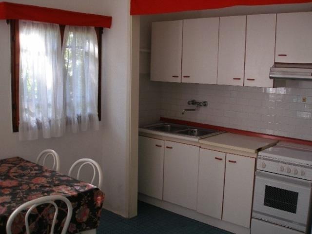 BALENO_ERACLEA_4.JPG
