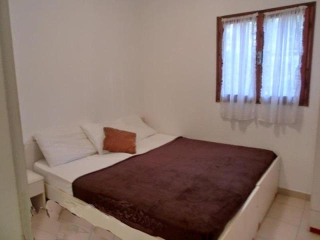 DANCALIA_ERACLEA_07.JPG
