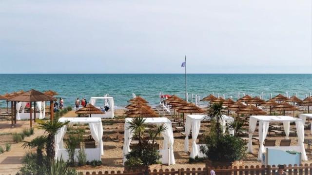 LINOFATE_BIBIONE_35.JPG