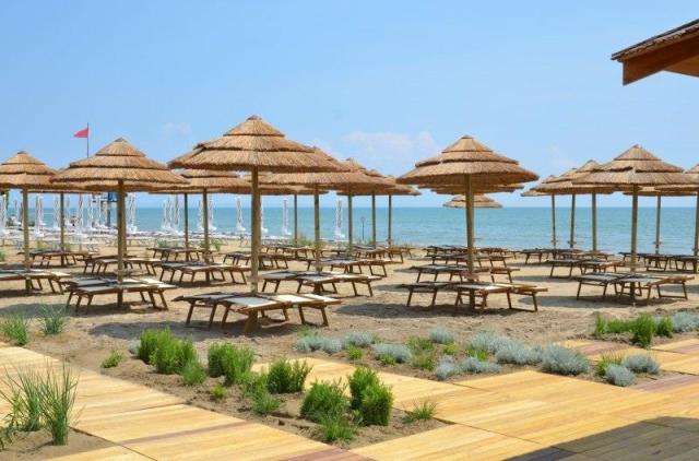 LINOFATE_BIBIONE_36.JPG