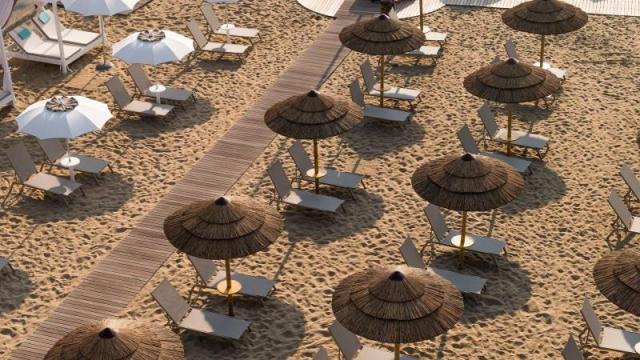 LINOFATE_BIBIONE_37.JPG